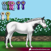 Horse Color:Black Tobiano Frame 