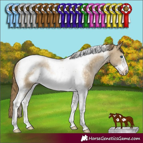 Horse Color:Buckskin Pearl Tobiano Frame Rabicano 