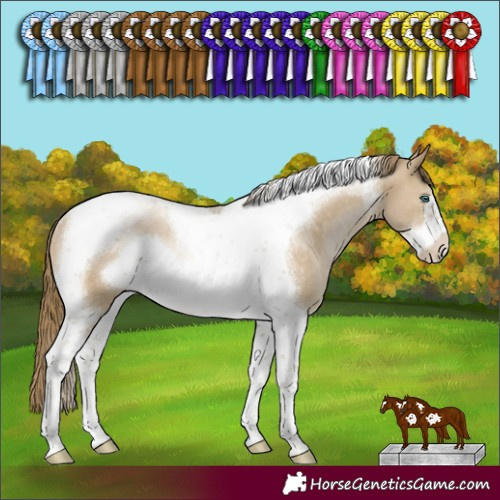 Horse Color:Buckskin Pearl Tobiano Frame Rabicano 