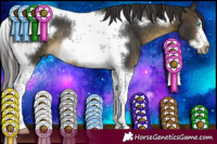 Horse Color:Buckskin Tobiano Frame 