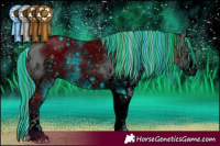 Horse Color:ERROR: UNKNOWN ANOMALY