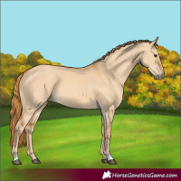 Horse Color:Red Dun 