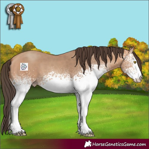 Horse Color:White Spotted Amber Champagne 