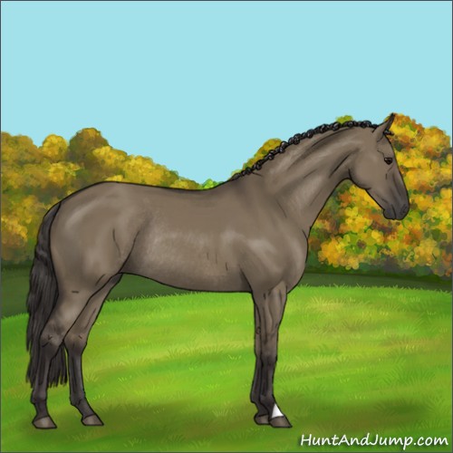 Horse Color:Smoky Grullo Rabicano 