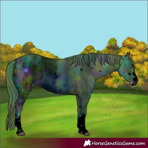 Horse Color:ERROR: UNKNOWN ANOMALY