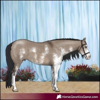 Horse Color:Brown Dun Sabino 