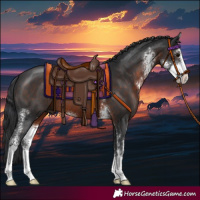 Horse Color:Brown Sabino 