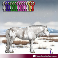 Horse Color:White Spotted Silver Grullo Mushroom Sabino 