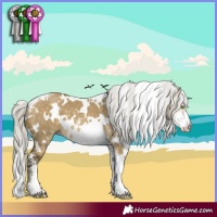 Horse Color:White Spotted Silver Buckskin Dun Mushroom Sabino