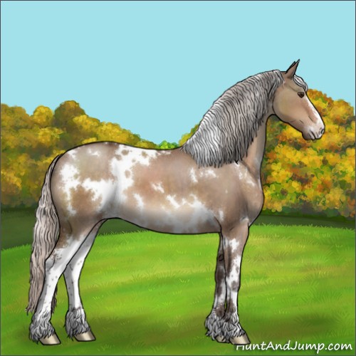 Horse Color:White Spotted Silver Brown Dun Sabino 