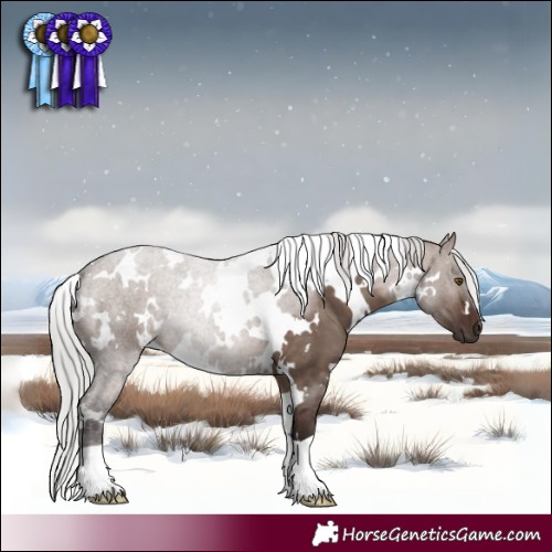 Horse Color:White Spotted Silver Brown Dun Mushroom 