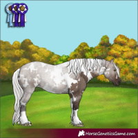 Horse Color:White Spotted Silver Brown Dun Mushroom 