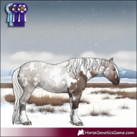 Horse Color:White Spotted Silver Brown Dun Mushroom 
