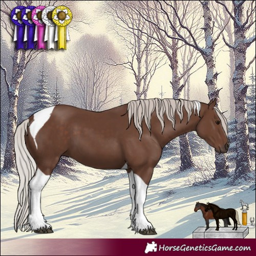 Horse Color:Silver Black Tobiano 