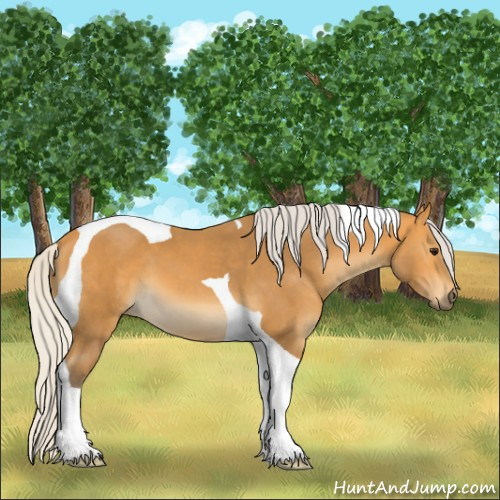 Horse Color:Silver Buckskin Tobiano 