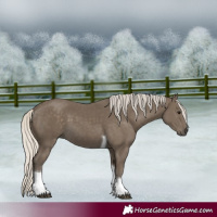 Horse Color:Silver Smoky Black Tobiano 