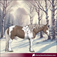 Horse Color:Silver Black Tobiano 