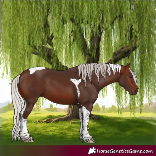 Horse Color:Silver Brown Tobiano 
