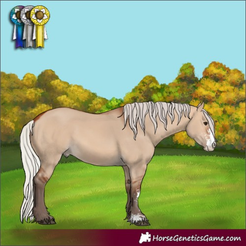 Horse Color:Silver Bay Dun Sabino 