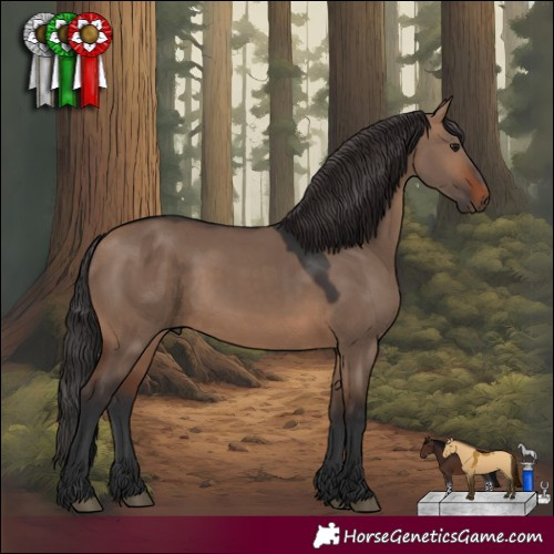 Horse Color:Brown Dun 