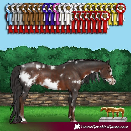 Horse Color:White Spotted Liver Chestnut Sabino Frame Rabicano