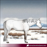 Horse Color:Gray Liver Red Dun Tobiano Rabicano 