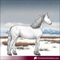 Horse Color:Gray Liver Red Dun Tobiano Rabicano