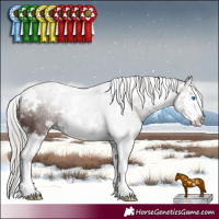Horse Color:White Spotted Chocolate Silver Black Splash 