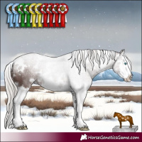 Horse Color:White Spotted Chocolate Silver Black Splash 