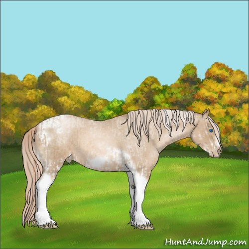 Horse Color:White Spotted Chocolate Palomino Pearl Tobiano Frame  and Chocolate Palomino Roan Pearl Tobiano Frame 
