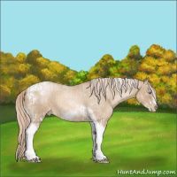 Horse Color:White Spotted Chocolate Palomino Pearl Tobiano Frame  and Chocolate Palomino Roan Pearl Tobiano Frame 