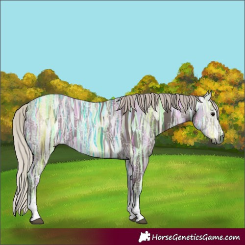 Horse Color:Gray White Spotted Silver Black Ice Sabino 