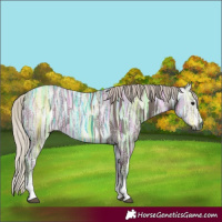 Horse Color:Gray White Spotted Silver Black Ice Sabino