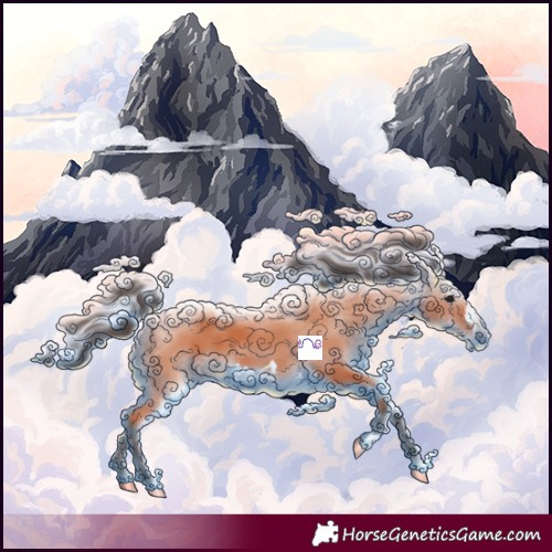 Horse Color:Bay Frame 