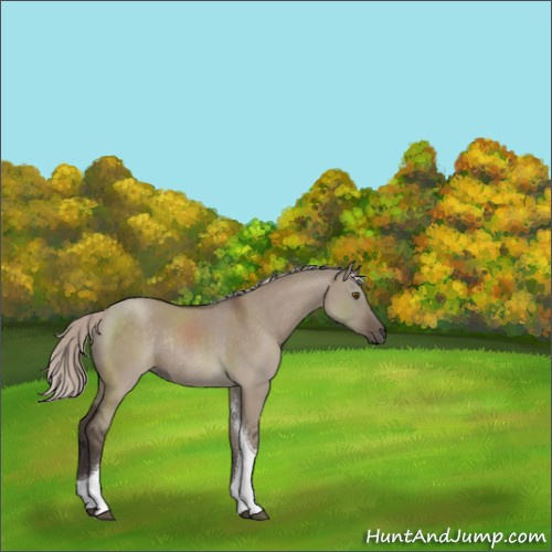 Horse Color:Silver Grullo Tobiano Rabicano 