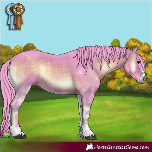 Horse Color:Watercolor Chocolate Brown Onyx 