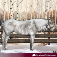 Horse Color:Silver Smoky Grullo Sabino Tobiano 