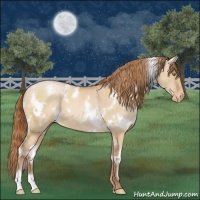 Horse Color:White Spotted Bay Pearl Dun Varnish 