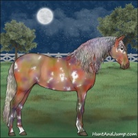 Horse Color:Nacre White Spotted Silver Bay