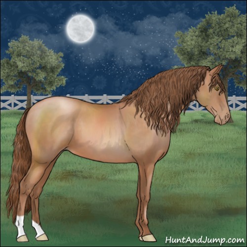 Horse Color:Brown Pearl
