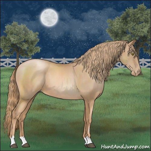 Horse Color:Chestnut Pearl 