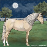 Horse Color:Palomino Pearl