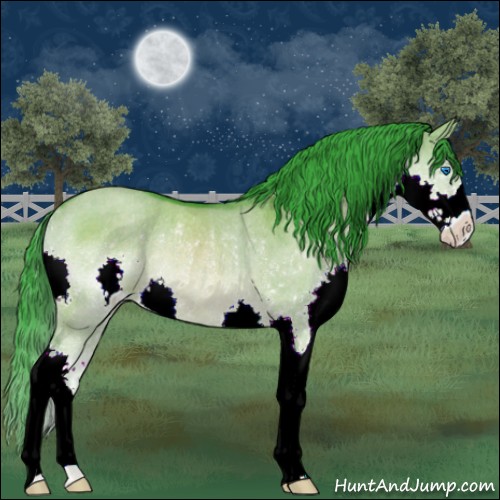 Horse Color:Watercolor Brown Dun Splash Rabicano