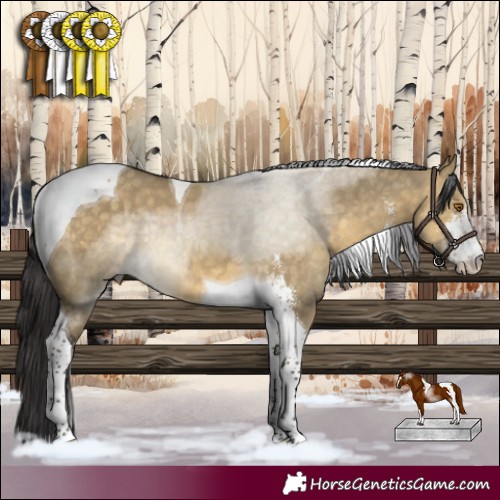 Horse Color:Buckskin Dun Sabino Tobiano 