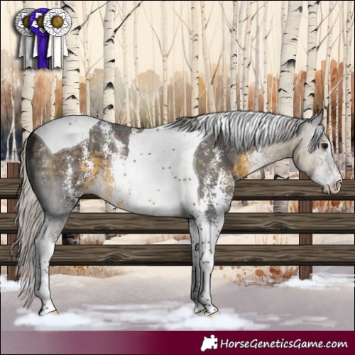 Horse Color:Silver Buckskin Sabino Tobiano 