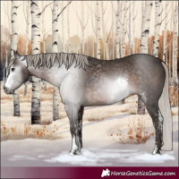 Horse Color:Gray Silver Black Sabino 