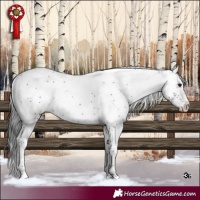 Horse Color:Brown Sabino 