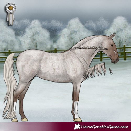Horse Color:Silver Blue Roan 