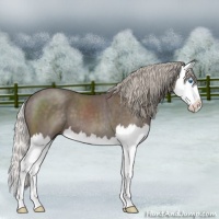 Horse Color:Silver Blue Roan Splash 