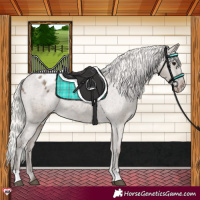 Horse Color:Silver Grullo Varnish 
